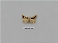 藏品(夜蛾341)的圖片